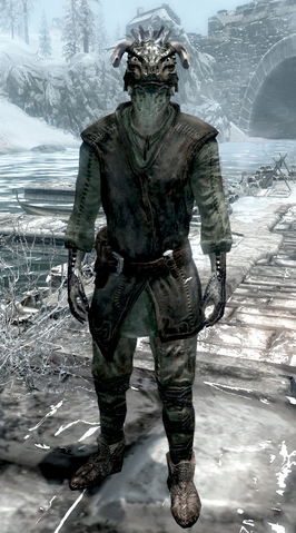 File:Scoutsmanymarshes.png