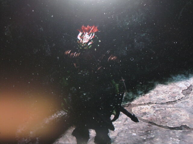 File:Argonianos Skyrim 003.jpg