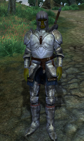 File:Adventurer Orsinium.png