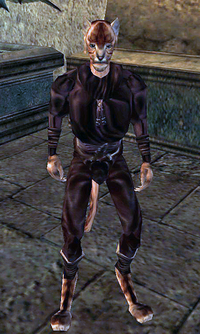 File:Tsrazami.png