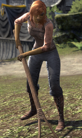 File:Valacarya.png