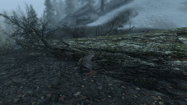 File:Forest Stash.jpg