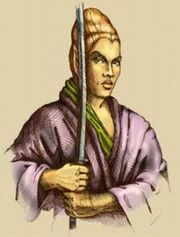 224px-Altmer Concept.jpg