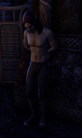 File:Renam Thervayn.png
