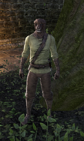 File:Valirr.png