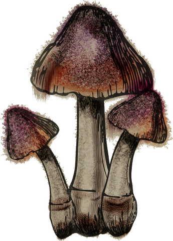 File:Bleedingcrown.png