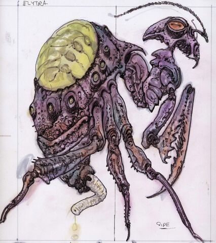 File:TESIVSI Concept Elytra2.jpg