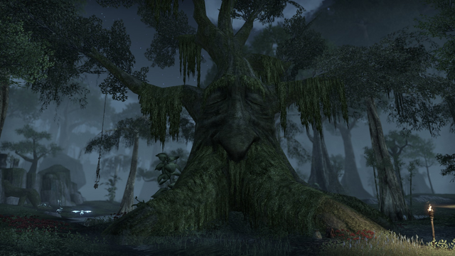 File:Brackenleaf Asleep.png