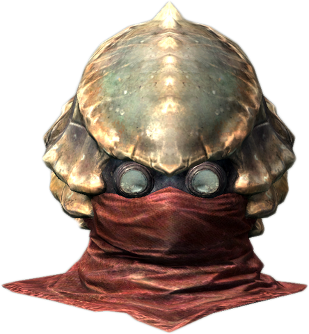 File:Chitin Helmet DB.png