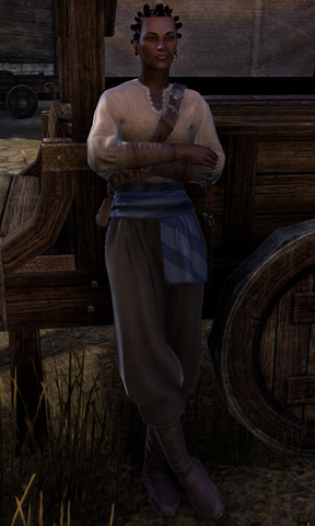 File:ESO Bilami the Caravaneer.png