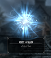 TESV Agent of Mara