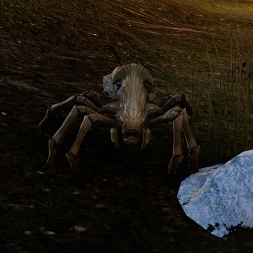 Kwama Elder Scrolls FANDOM powered by Wikia