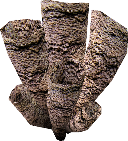 File:Soul Husk.png