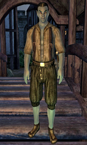File:AldosOthran.png