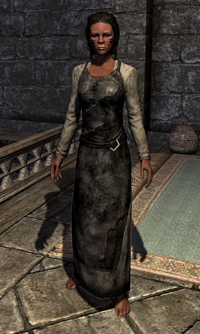 File:Blacksmiths Apron 0006FF37.png