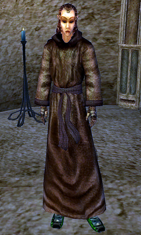 File:Aerin (Morrowind).png