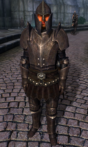 File:TESIV Character Test Guard.png