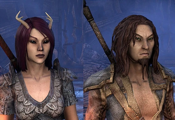 http://vignette3.wikia.nocookie.net/elderscrolls/images/1/1b/Wood_Elf_%28Online%29.jpg/revision/latest?cb=20140120120654