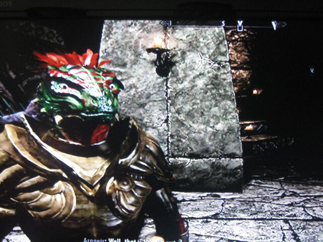 File:Argonianos Skyrim 010.jpg