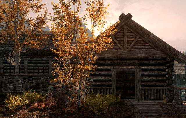 File:Honorhall Orphanage Riften.png