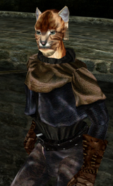 KhajiitWithUnspeakableNameESW1