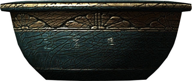 File:Bowl 000b9bcc.png