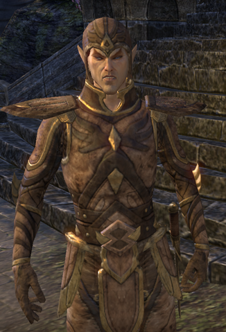 File:Royal Guard.png