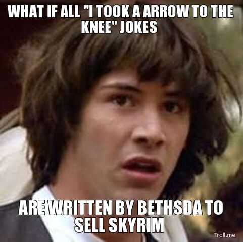 File:What-if-all-i-took-a-arrow-to-the-knee-jokes-are-written-by-bethsda-to-sell-skyrim.jpg