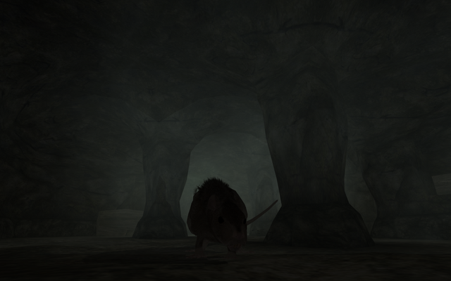 File:Rat in cver.png