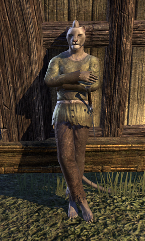 File:Chickenthief.png