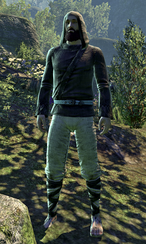 File:Curator Nicholas.png