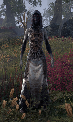 File:Arith-Enle.png