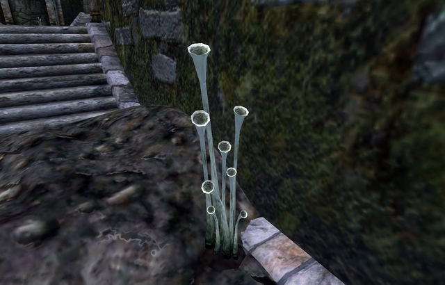 File:Fungus Stalk.png