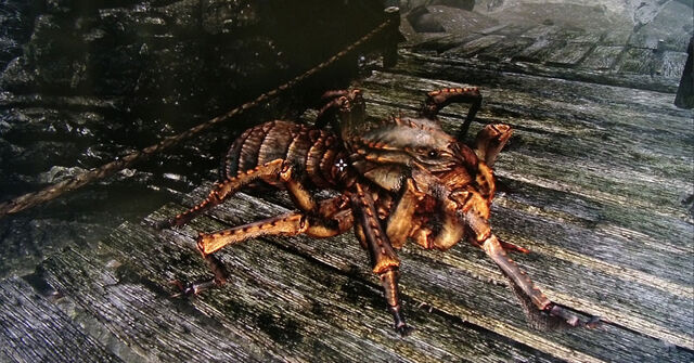 File:Miniera Panciarossa 3.jpg