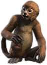Monkey
