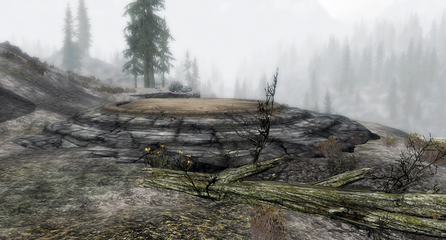 File:DM Witchmist Grove.png