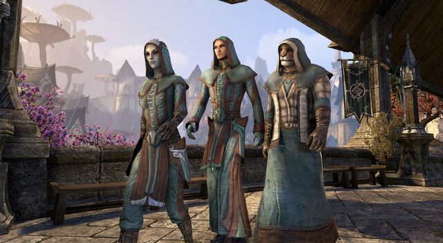 File:Mages Guild (Online).jpg