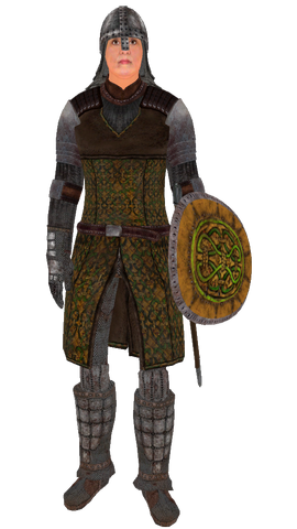 File:CheydinhalGuard.png