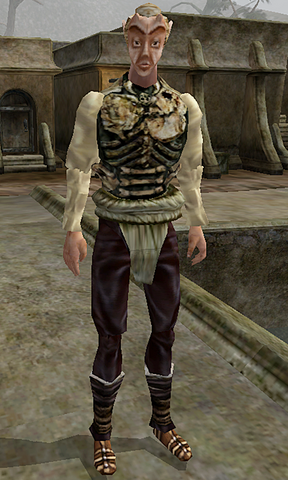 File:Meldor Morrowind.png