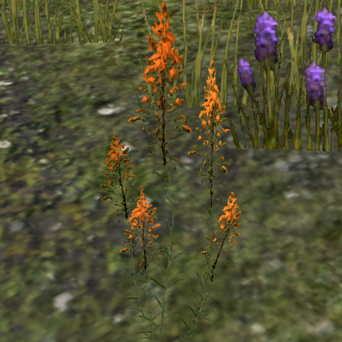 File:Mountainflower.png