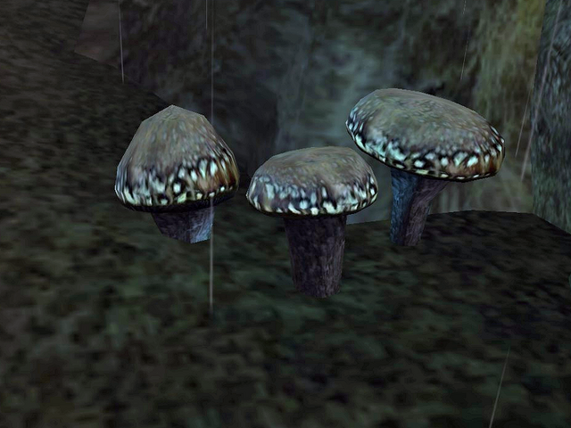 File:Luminous Russula.png