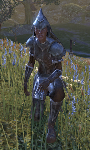 File:Female Alik'r Champion.png