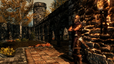 Riften Guard
