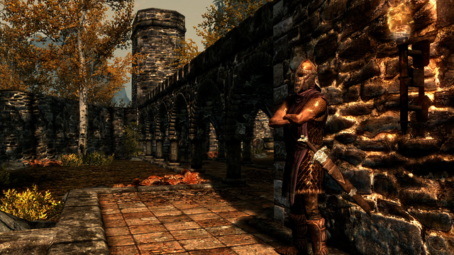 File:Riften Guard.png