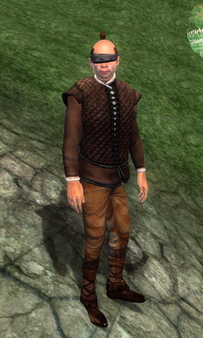 File:IMMale.png