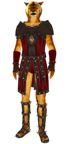 File:ArenaValorLightArmor.png