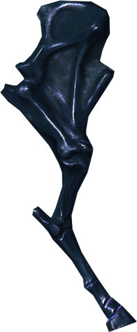 File:Skeletal horse leg.png