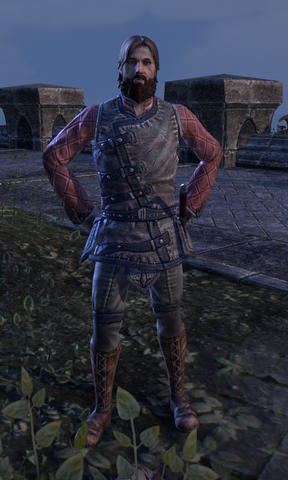 File:Velyn Harbor Militia.png