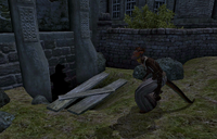 A Rat Problem Quill-Weave