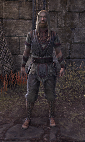 File:Nord Envoy 2.png